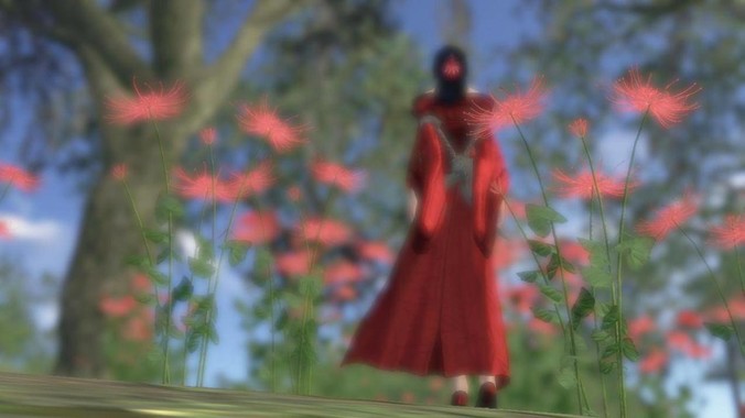 要不要帮导师装服务器?